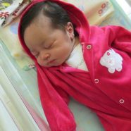 Ana Alice