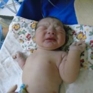 Lucas