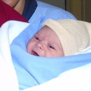 Davi
